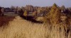 _k370.jpg