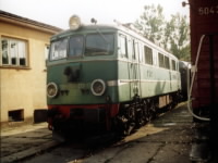 Zdjcie 13
