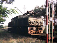 Zdjcie 12