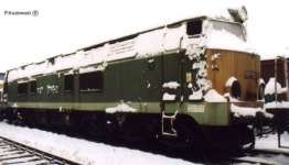 Zdjcie 15