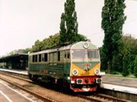 Zdjcie 15