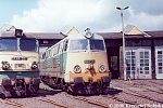 SU45-217