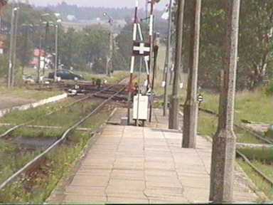 Costerina jak zwykle miaa opnienie. Czekalimy, czekalimy...